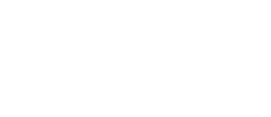 Taurus logo